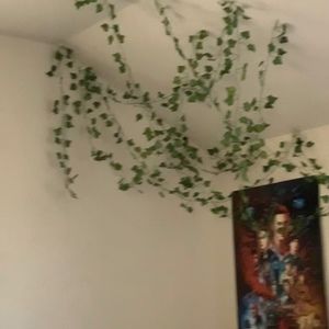 Meet your Posher, Lucy